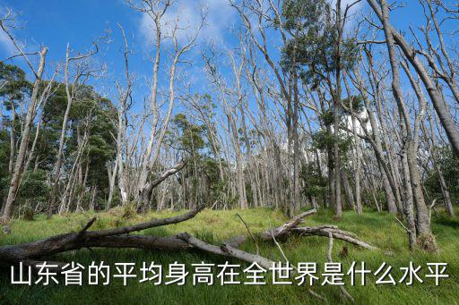 中國山東人平均身高多少,南方人說到山東人