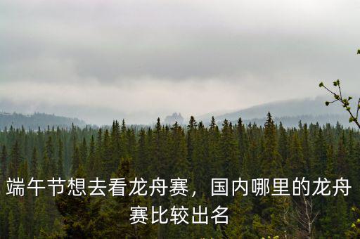 端午節肇慶哪里有賽龍舟,端午節想去看龍舟賽