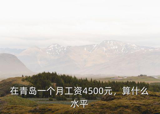 在青島一個月工資4500元，算什么水平