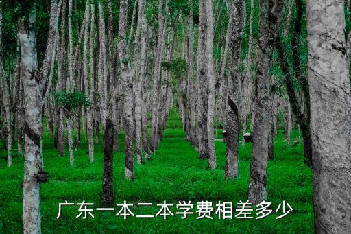 廣東一本二本學費相差多少
