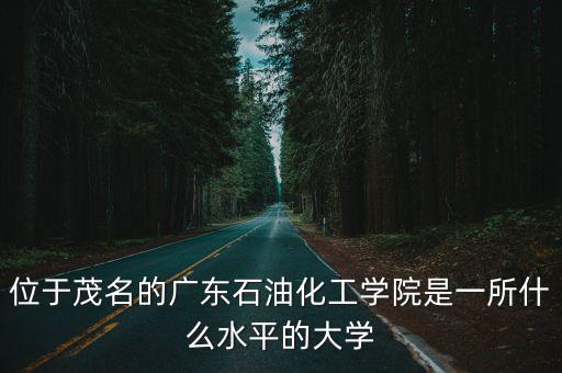 位于茂名的廣東石油化工學院是一所什么水平的大學