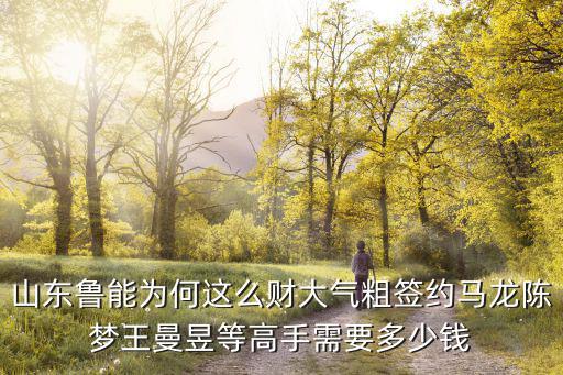 山東魯能足球鞋多少錢,山東魯能為何這么財(cái)大氣粗