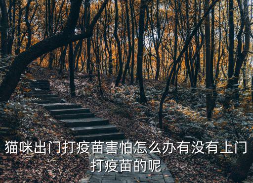深圳哪里可以打貓咪疫苗,貓咪出門打疫苗害怕怎么辦