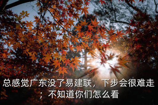 易建聯怎么不在廣東隊了,總感覺廣東沒了易建聯