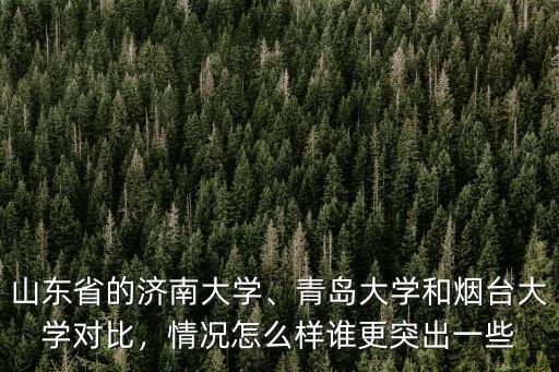 山東省的濟南大學、青島大學和煙臺大學對比，情況怎么樣誰更突出一些