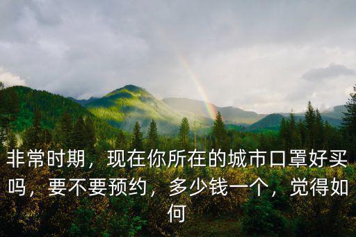 非常時期，現在你所在的城市口罩好買嗎，要不要預約，多少錢一個，覺得如何