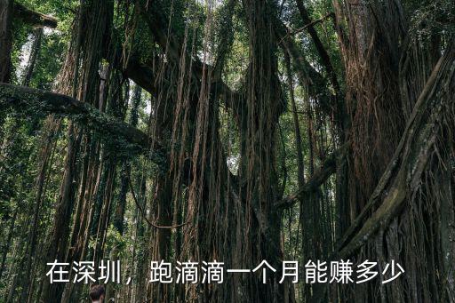 在深圳，跑滴滴一個月能賺多少