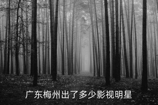 廣東梅州出了多少影視明星