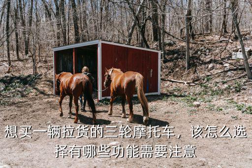 江門哪里有三輪車拉貨的,想買一輛拉貨的三輪摩托車
