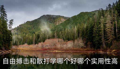 自由搏擊和散打?qū)W哪個好哪個實用性高