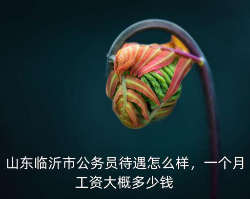 臨沂執法局工資多少錢,你們那里工資有多少