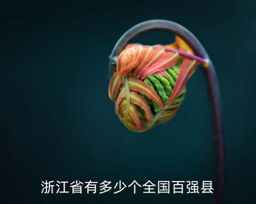 浙江一九九八年浙江百強縣有多少,浙江省有多少個全國百強縣