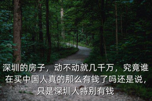 深圳最有錢(qián)的小區(qū)是哪里,深圳的富人區(qū)在哪里