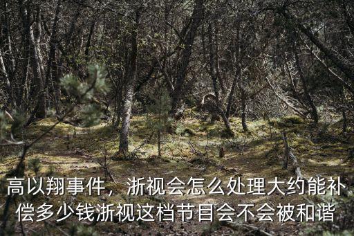 高以翔事件浙江衛視賠償了多少錢,針對這次浙江衛視高以翔事件