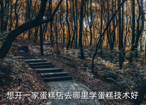 蛋糕糕點烘焙汕頭哪里可以學,面包烘焙可以去哪里學