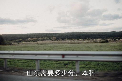 山東考生多少可以考上本科,山東需要多少分