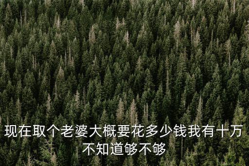 現(xiàn)在取個老婆大概要花多少錢我有十萬不知道夠不夠