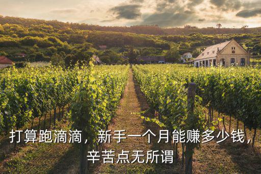 濱州滴滴快車一個月收入多少,滴滴網約車司機收入怎么樣