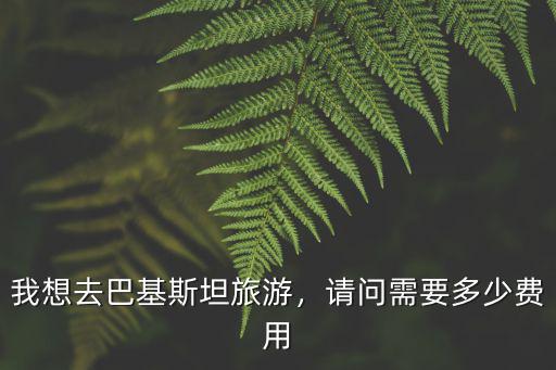 金華到巴基斯坦旅游需要多少錢,我想去巴基斯坦旅游