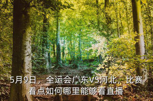 廣東宏遠球賽在哪里看,哪里能夠看直播