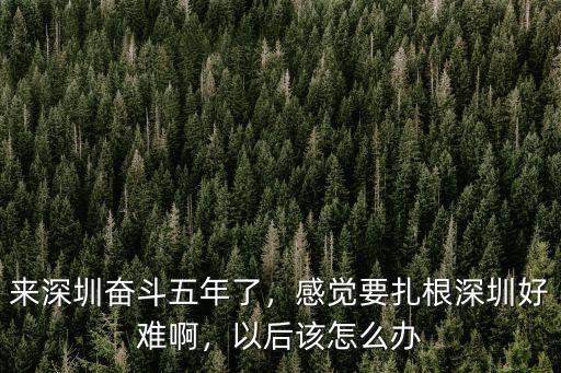 深圳該怎么辦,來深圳奮斗五年了
