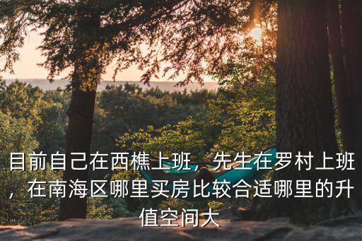 佛山羅村豬場在哪里,先生在羅村上班