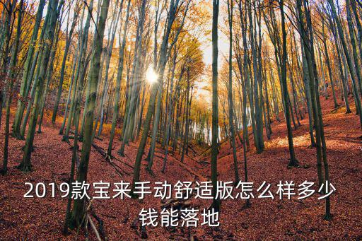 2019款寶來手動舒適版怎么樣多少錢能落地