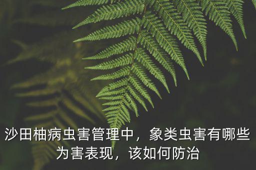廣東哪里有蟲害,菜心主要蟲害有哪些