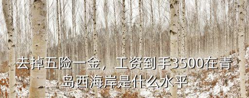 去掉五險一金，工資到手3500在青島西海岸是什么水平