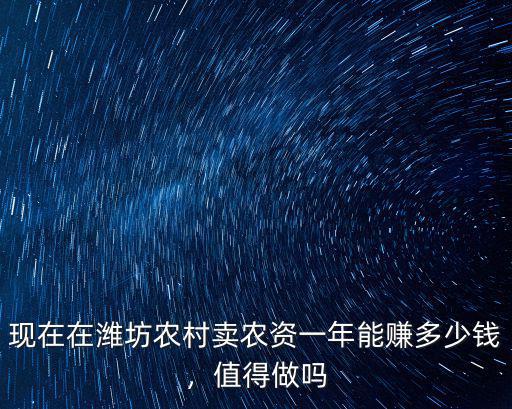 現在在濰坊農村賣農資一年能賺多少錢，值得做嗎