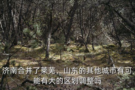 濟(jì)南萊蕪區(qū)有多少鄉(xiāng)鎮(zhèn),濟(jì)南合并了萊蕪