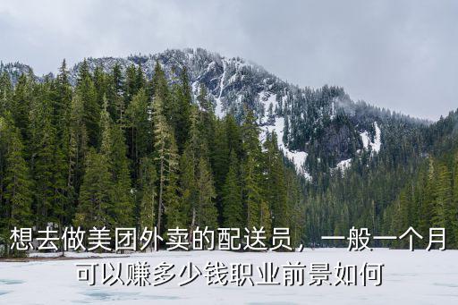 陽江美團一月多少錢,一般一個月可以賺多少錢