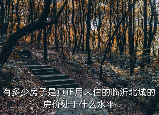 臨沂房子能到多少,有多少房子是真正用來住的