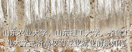 山東農業大學，山東理工大學，齊魯工業大學三所高校的專業就業前景如何
