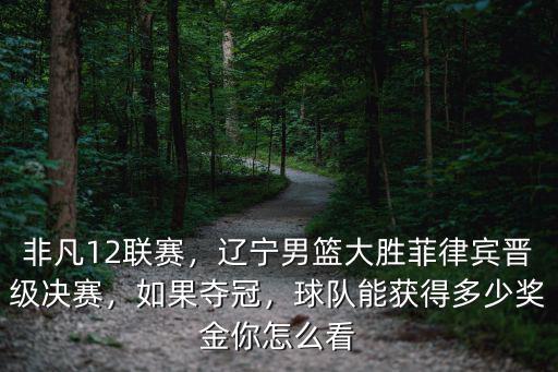 浙江廣廈獲得亞軍獎金多少,王哲林能夠拿到多少獎金