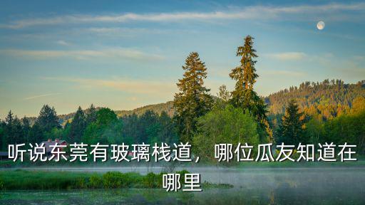 東莞鳳凰山玻璃棧道在哪里,聽說東莞有玻璃棧道