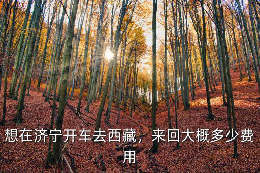 濟寧到煙臺開車費用是多少費用多少錢,開車需要多少費用