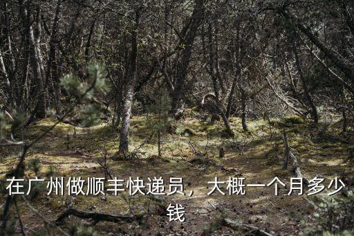 廣州到邢臺(tái)快遞多少錢(qián)一個(gè)月,快遞員送一份快遞能掙幾塊錢(qián)