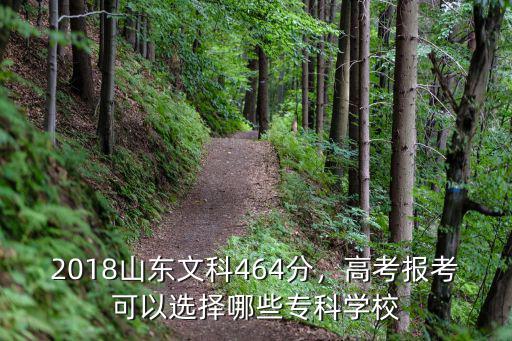 山東專升本文科生多少分,2018山東文科464分