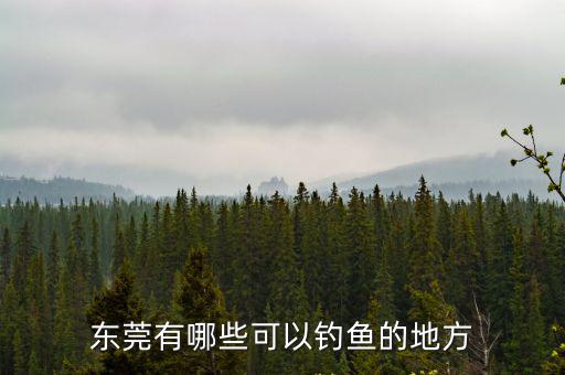東莞哪里有水庫干枯,東莞有哪些可以釣魚的地方