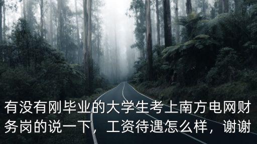 有沒有剛畢業的大學生考上南方電網財務崗的說一下，工資待遇怎么樣，謝謝