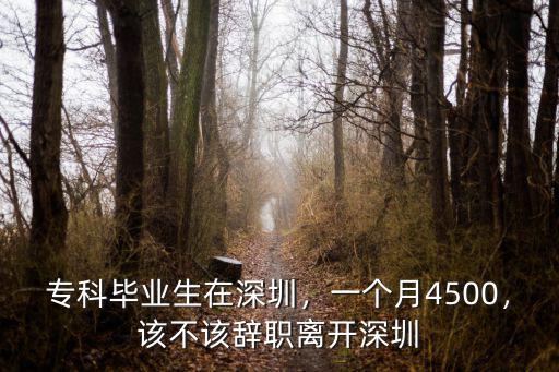 深圳華為夜班怎么樣,深圳富士康怎么樣