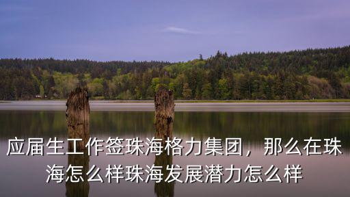 應屆生工作簽珠海格力集團，那么在珠海怎么樣珠海發展潛力怎么樣