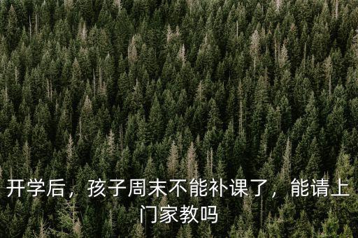 開(kāi)學(xué)后，孩子周末不能補(bǔ)課了，能請(qǐng)上門(mén)家教嗎