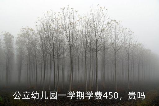 青島幼兒園學費多少錢一學期,各地幼兒園學費多少