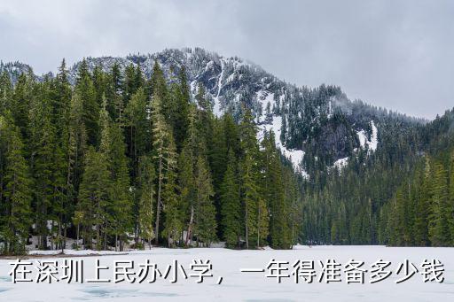 在深圳上民辦小學(xué)，一年得準(zhǔn)備多少錢(qián)