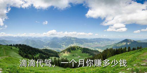 深圳酒后代駕一個月能掙多少錢,一個月究竟能賺多少錢