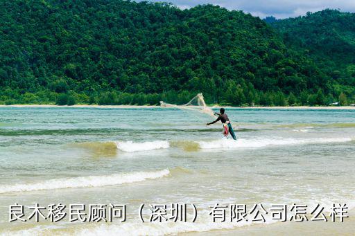 深圳市騰達工程顧問有限公司怎么樣,良木移民顧問