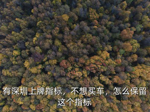 有深圳上牌指標，不想買車，怎么保留這個指標
