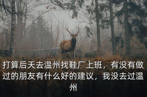 溫州鞋廠車包一個月工資多少,一個月一萬多
